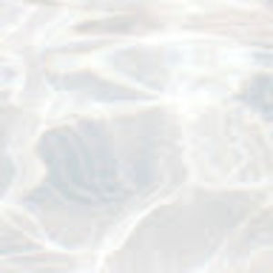 Meet your Posher, Astrid